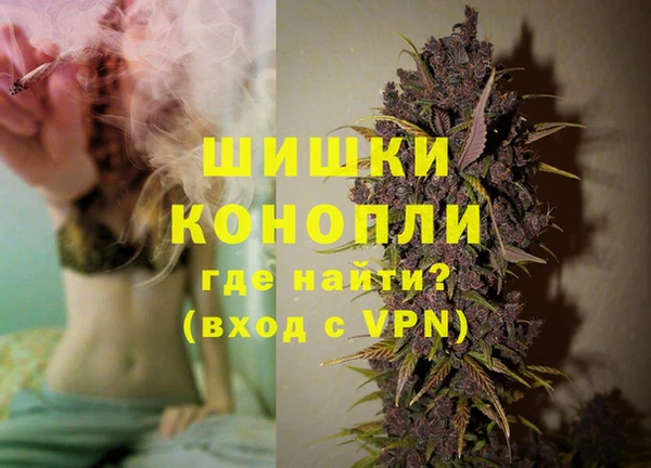 Альфа ПВП Елизово