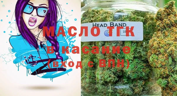 мет Елабуга