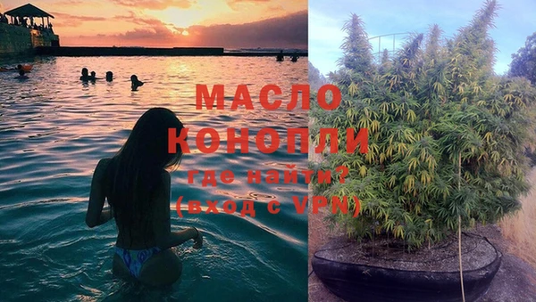 мет Елабуга