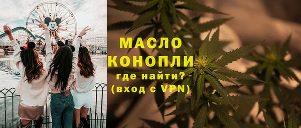 мет Елабуга