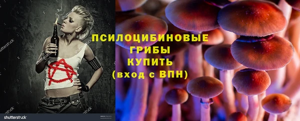 Альфа ПВП Елизово